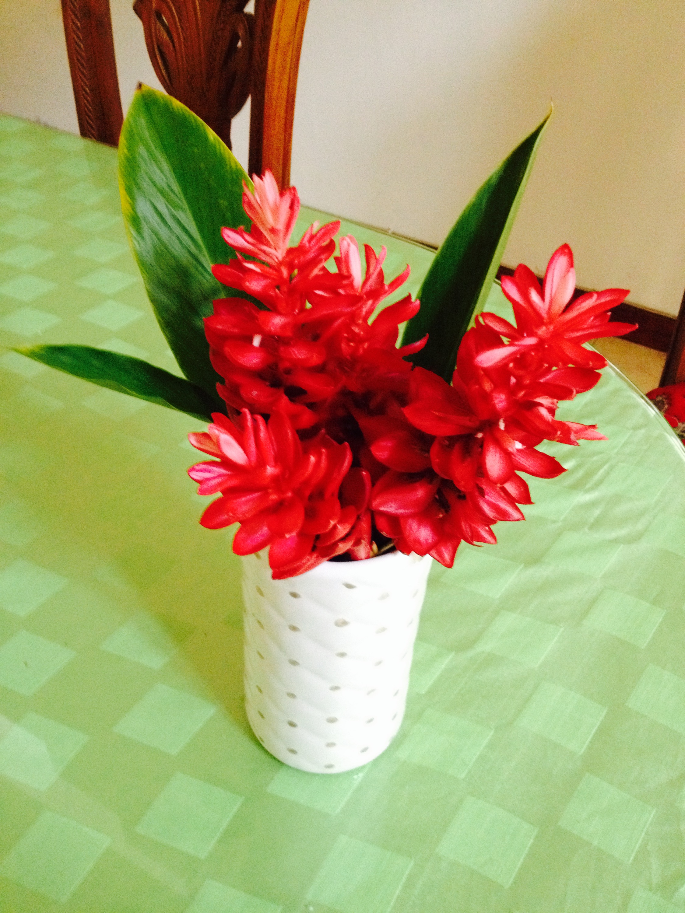 Gambar Bunga Dalam Vas